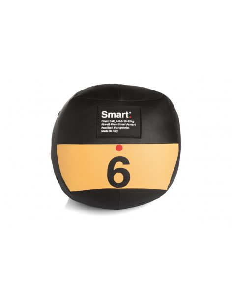 GIANT BALL SMART 2