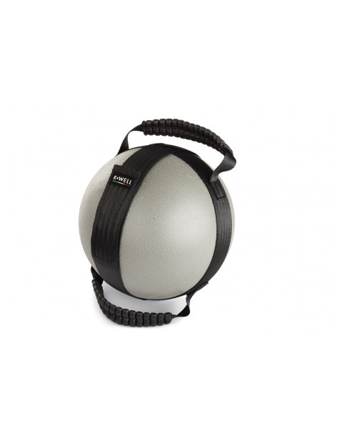 HANDLE HARNESS