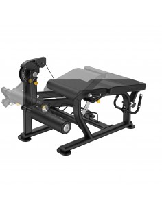 LEG EXTENSION / PRONE LEG CURL