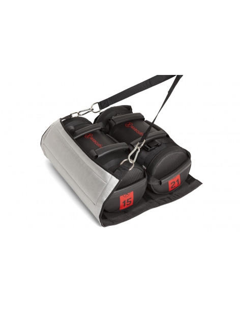 SLED 2
